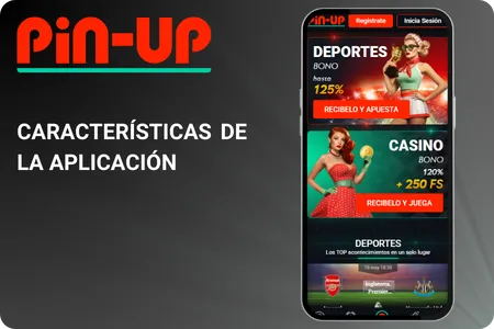 Características principales